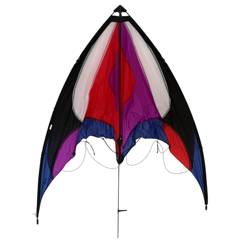 Flying Wings Beetle Kite Rainbow Multicolor 55.5in Ripstop Nylon Carbon Frame